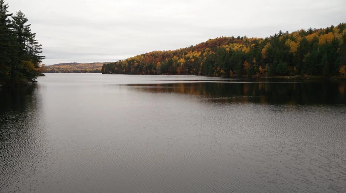 Killaloe Park