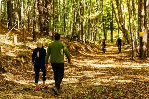 Copeland Forest Trail