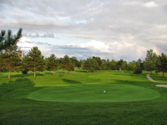 320