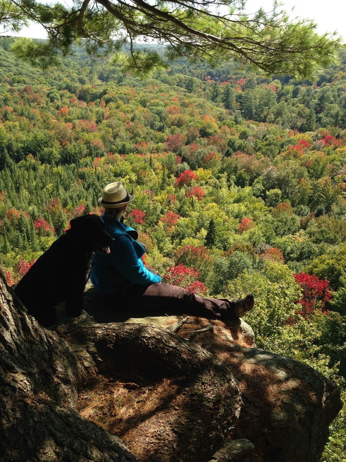 Crests of Kennisis Trail