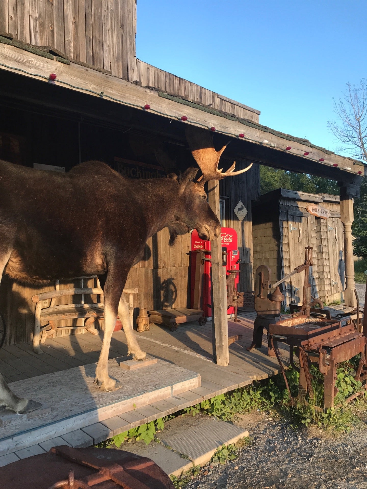 Wawa Trading Post
