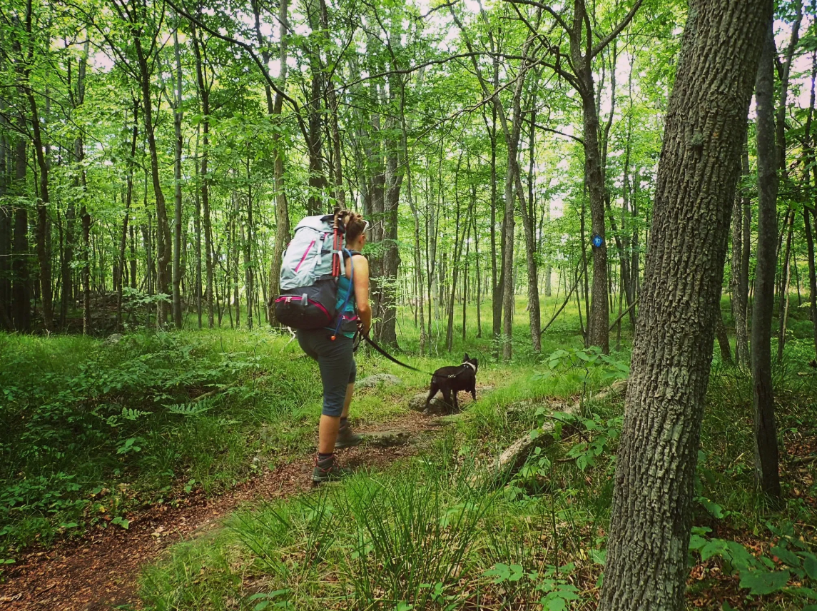 Arkon Lake Loop