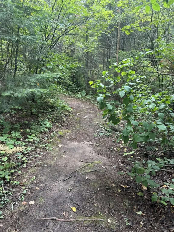 AspenTrailSiouxNarrows-NestorFallstrail