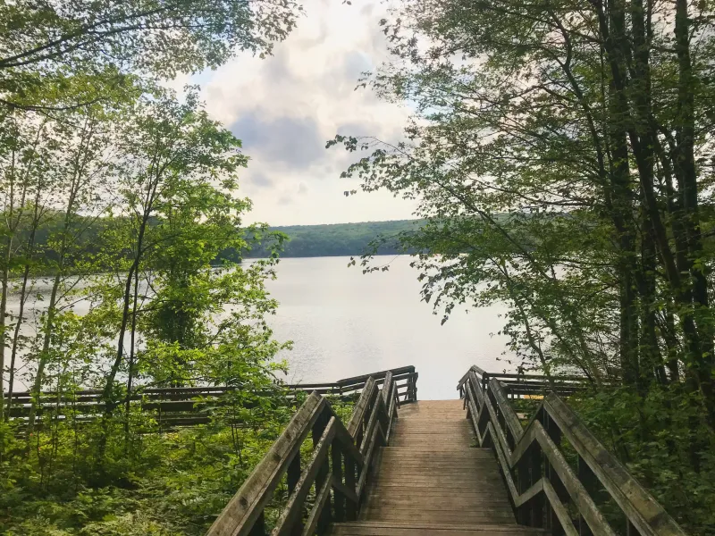Awenda Bluff Trail