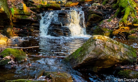 Barnum-Creek-Waterfall_80-DPI-web27218