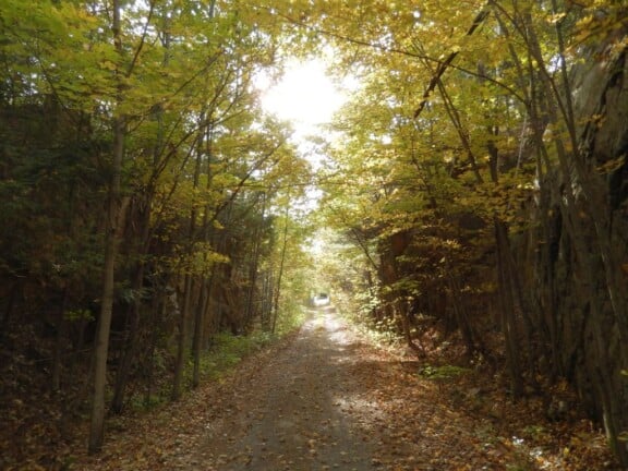 Cataraqui_Trail_east_of_Chaffeys_Lock_DSCN2187r