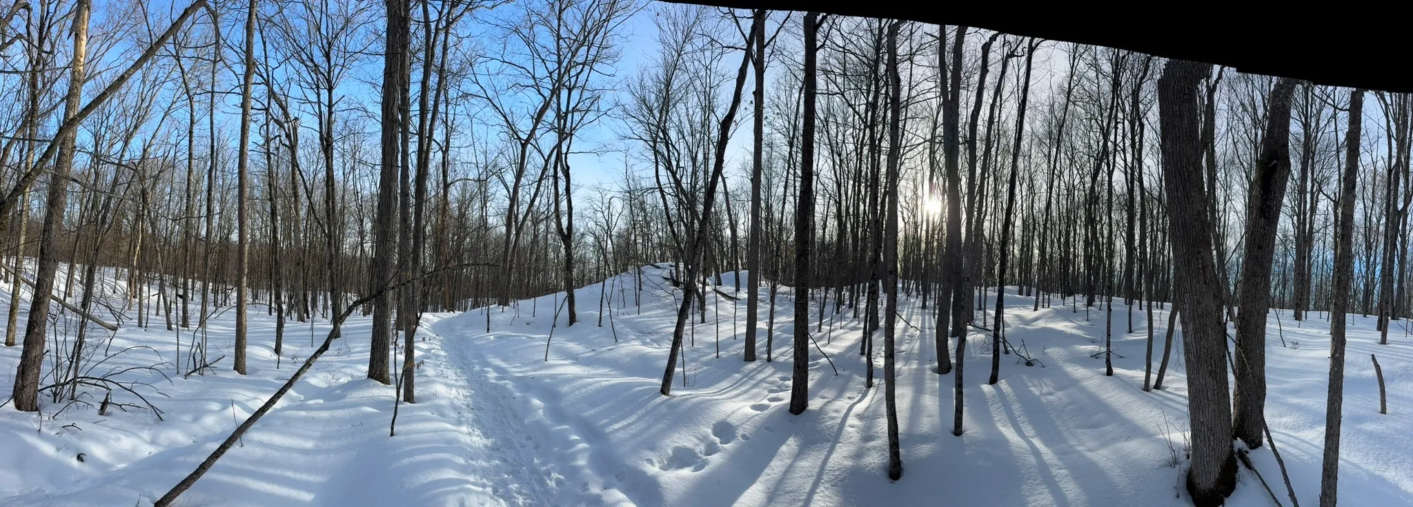 Cedar Lake Loop