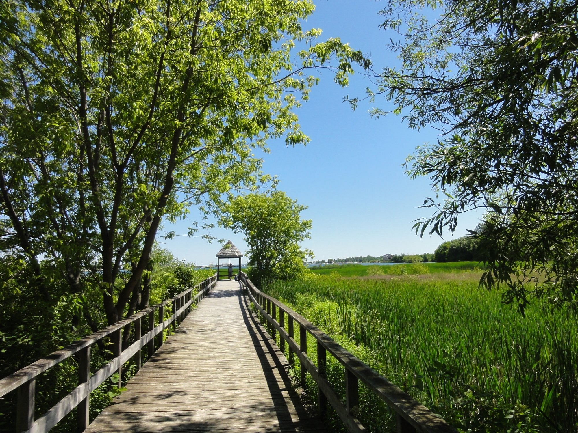Collingwood Waterfront Trail
