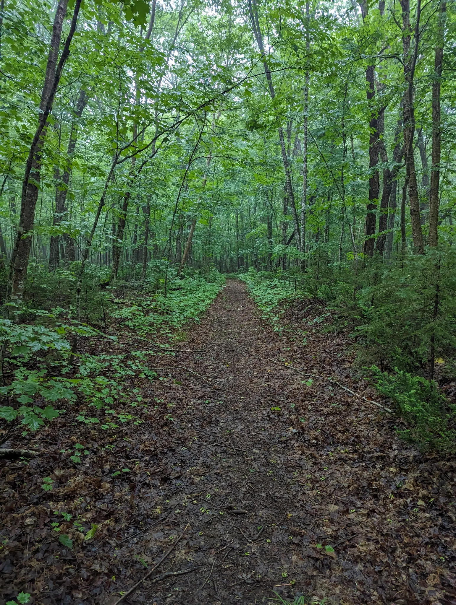 Crescent Lake Trail