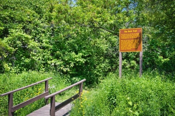 The Burk Trail at Darlington Provincial Park<br />Photographer: Evan Holt, 2019