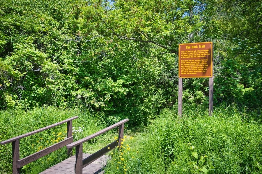 Pretty River Valley Trail