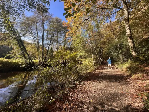 DunsfordNatureTrail