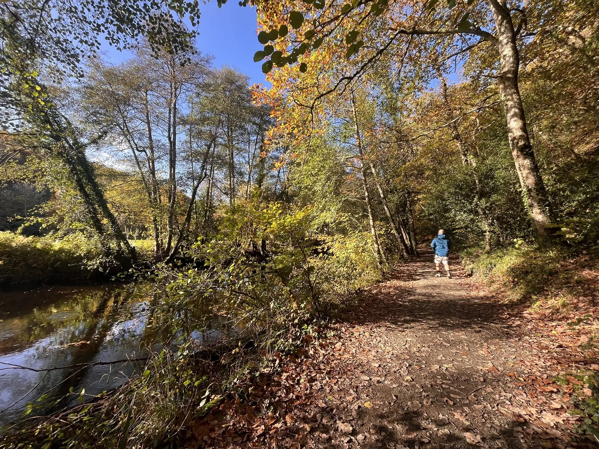 Dunsford Nature Trail