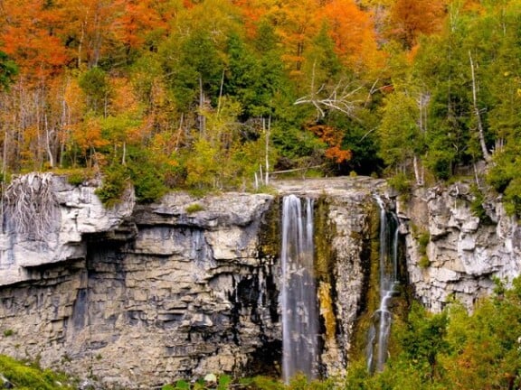 Eugenia-Falls