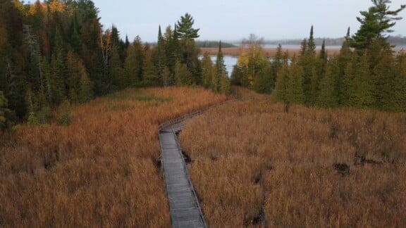 Fall-Boardwalk-1