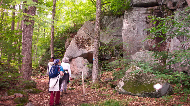 Frost Centre Hiking Trails