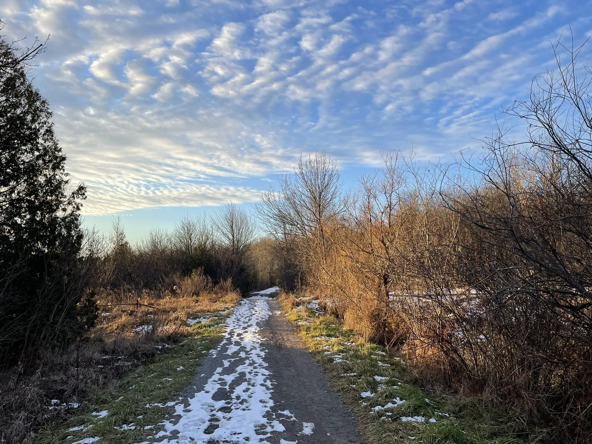 Ganaraska Trail: Kawartha Section