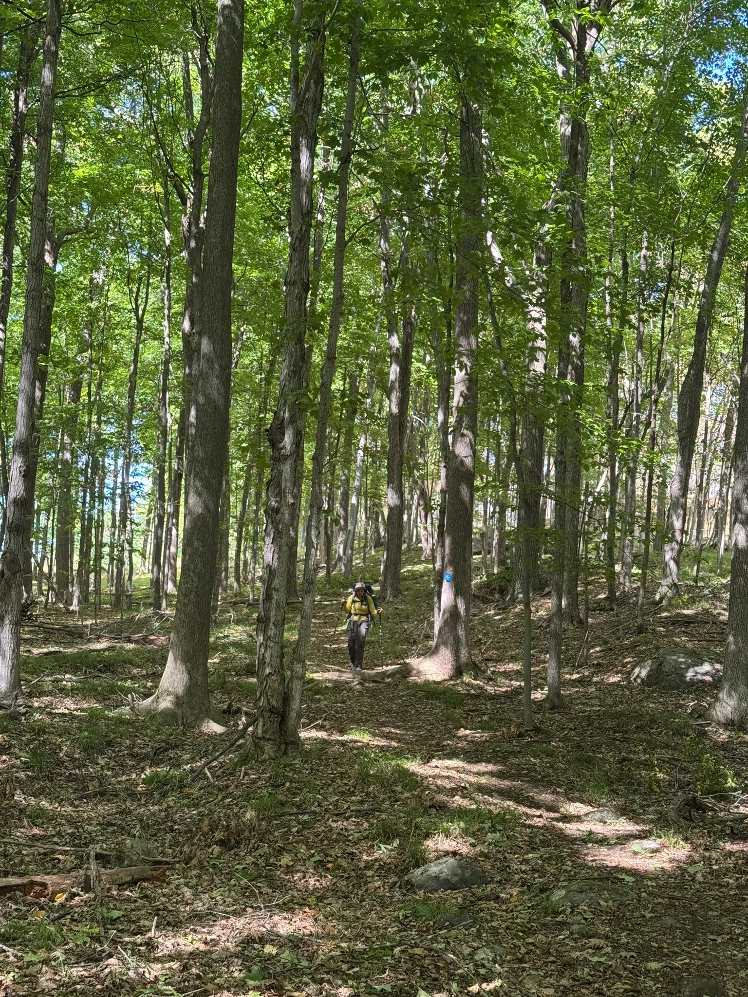 Gibson and Hemlock Lake Loop