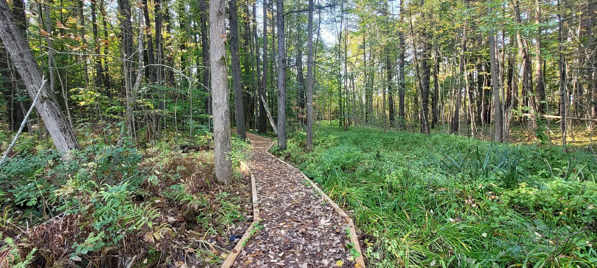 Grant’s Woods Loop Trail