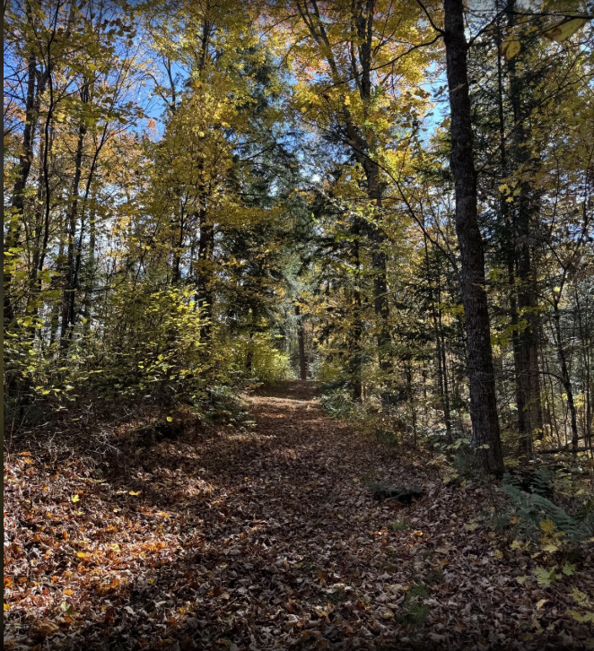 Ridge Trail Loop