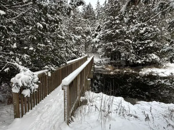 HatcheryFallsTrail