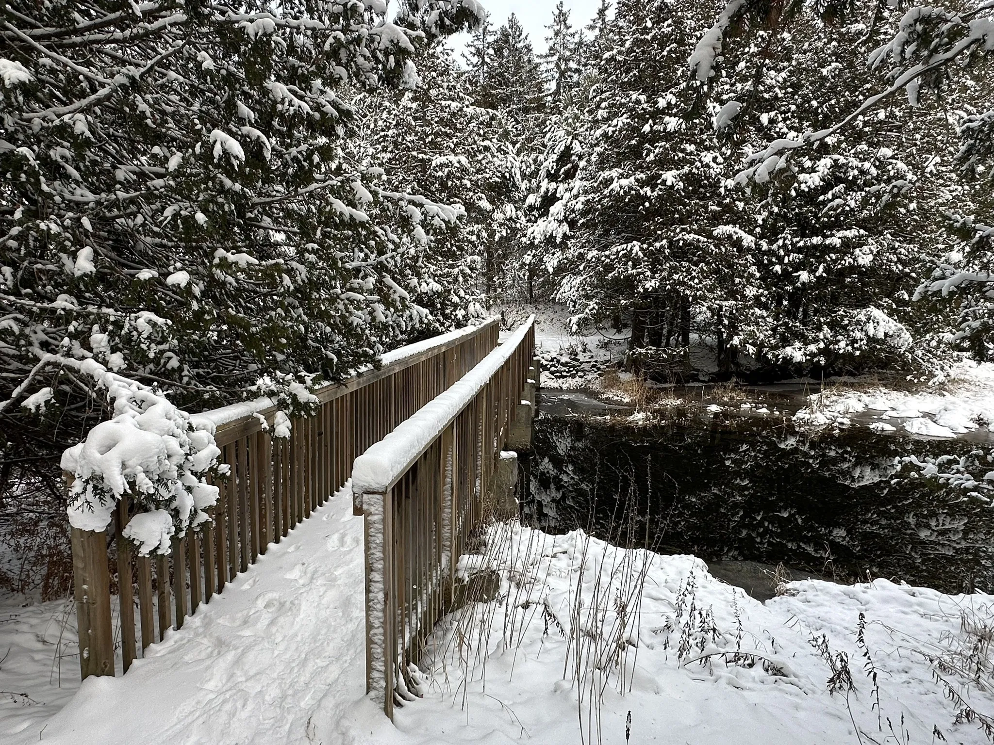 Hatchery Falls Trail