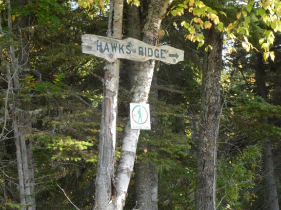 Hawks-Ridge-7