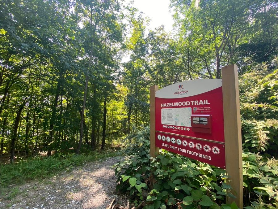 Hazelwood Trail