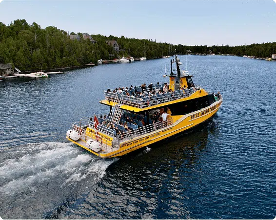 Bruce Anchor Glass-bottom Cruises