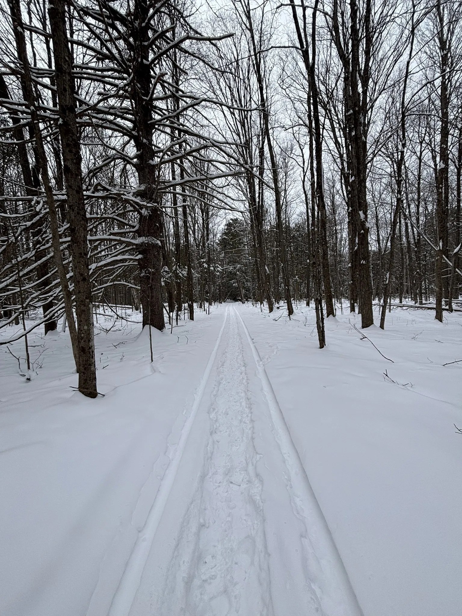 Indian Point Trail