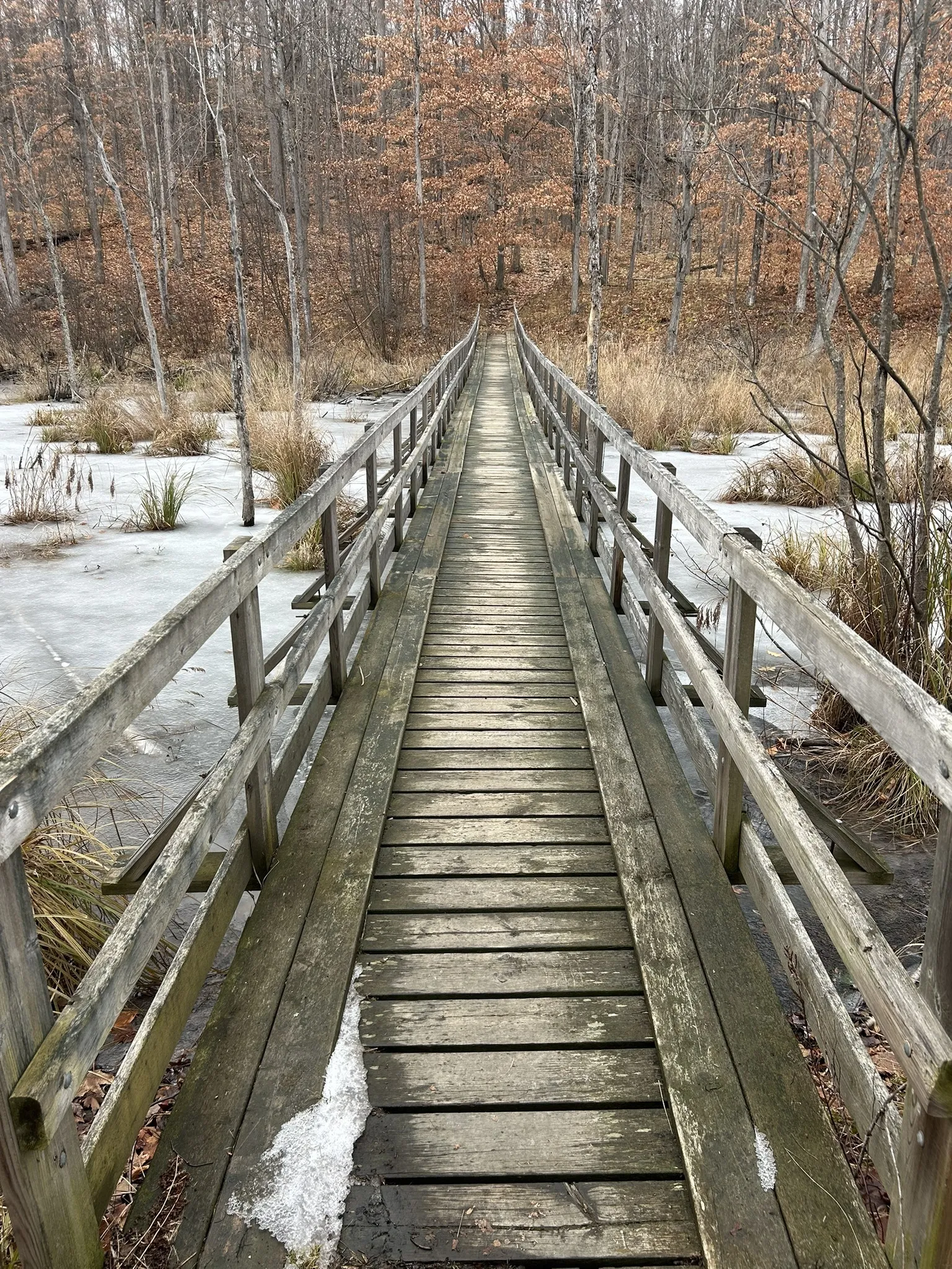 Little Clear Lake Loop