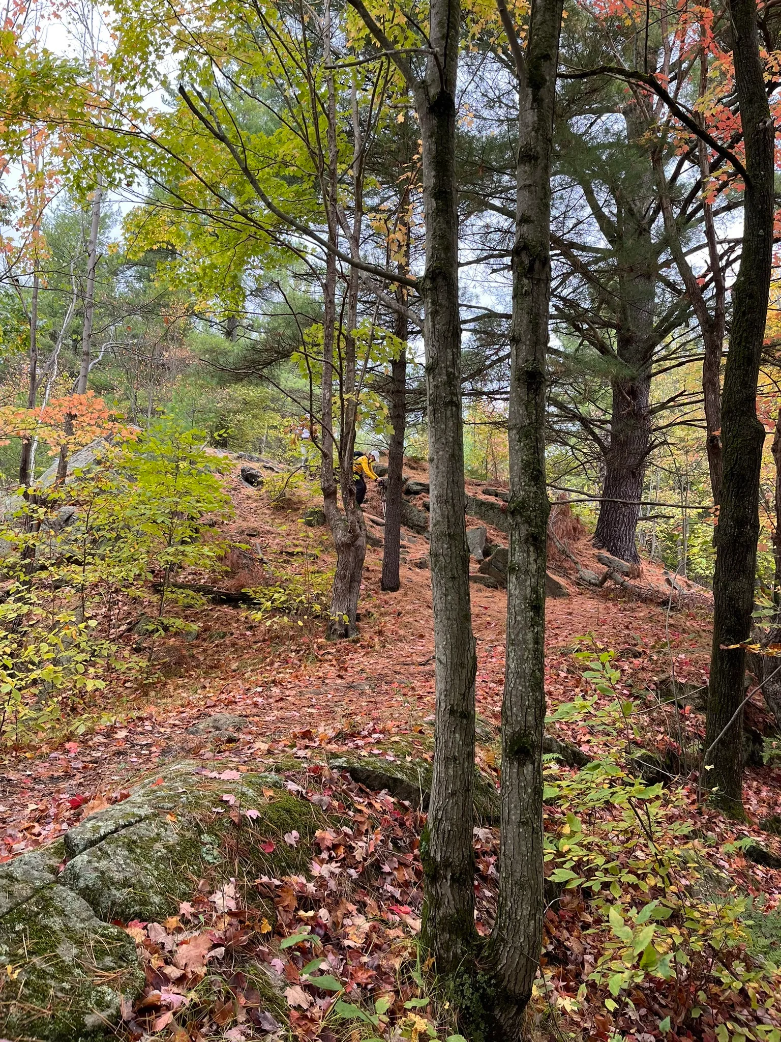 Little Salmon Lake Loop