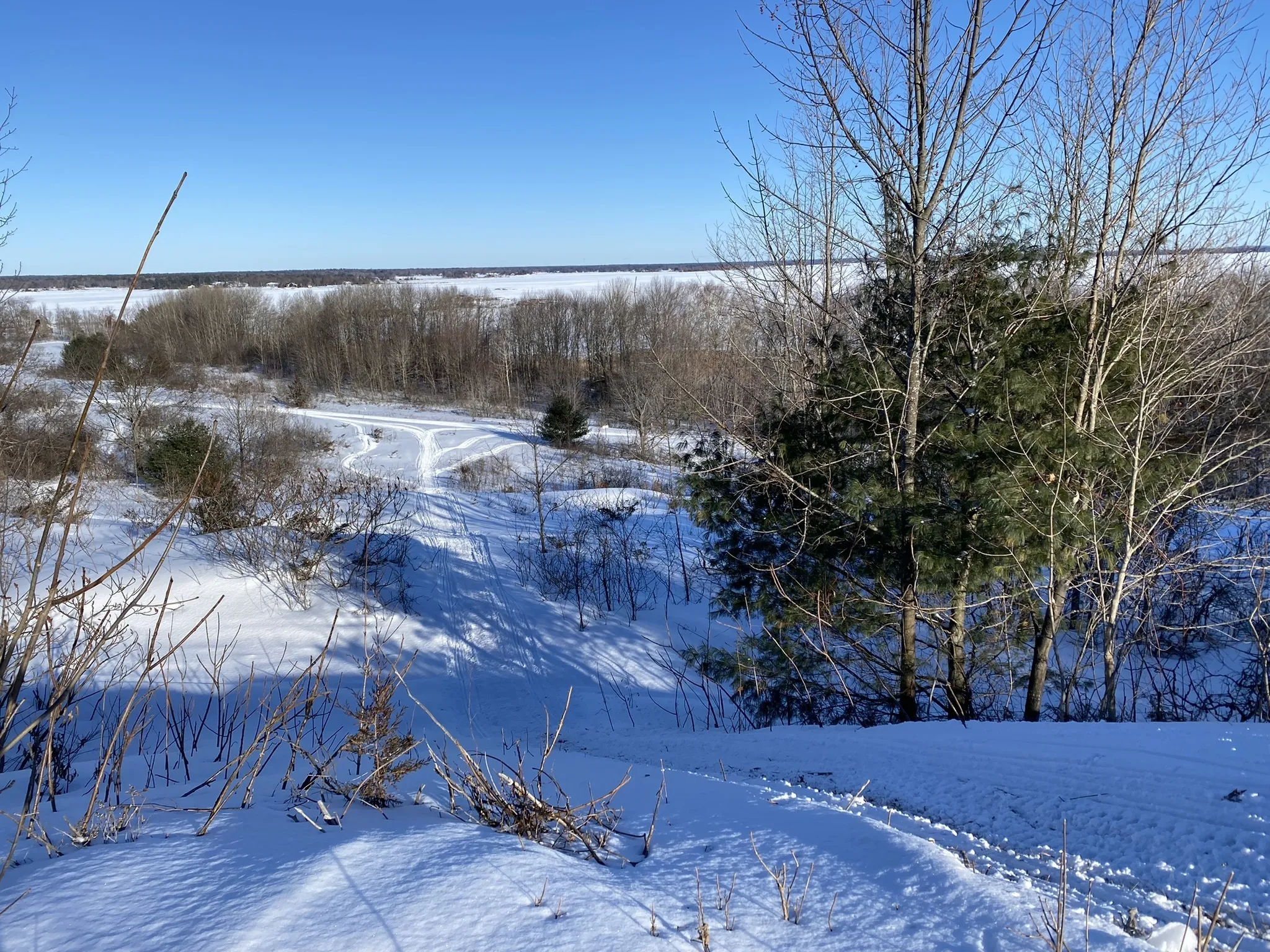 The Lookout Trail