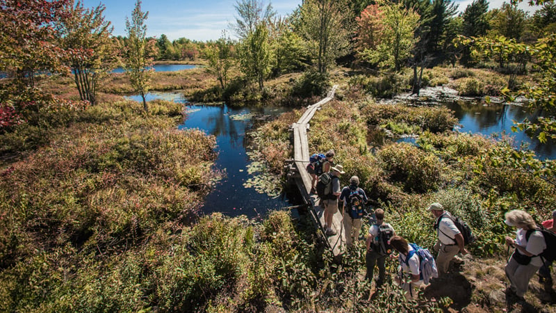 Rideau Trail
