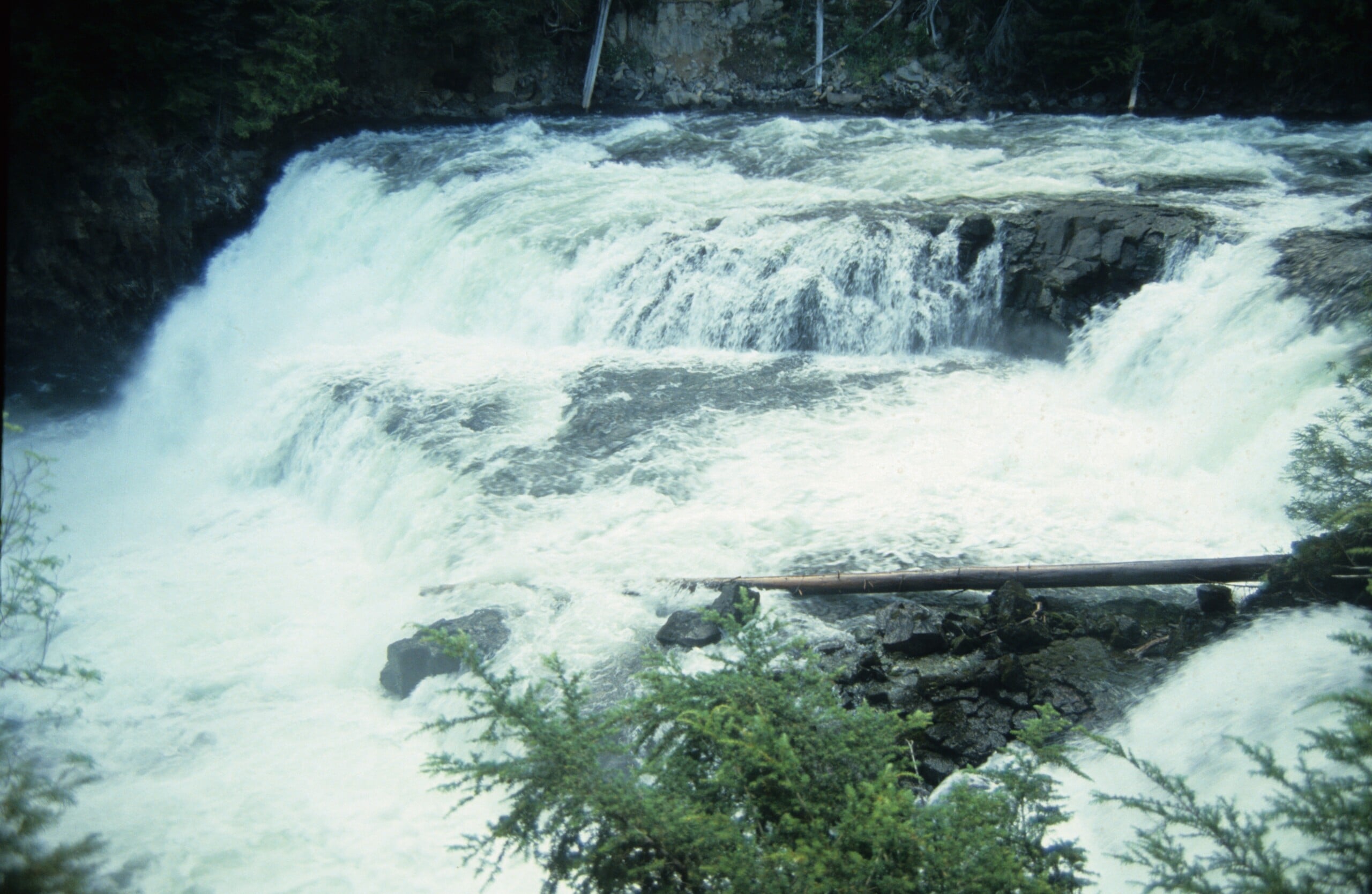 McDougall Chutes
