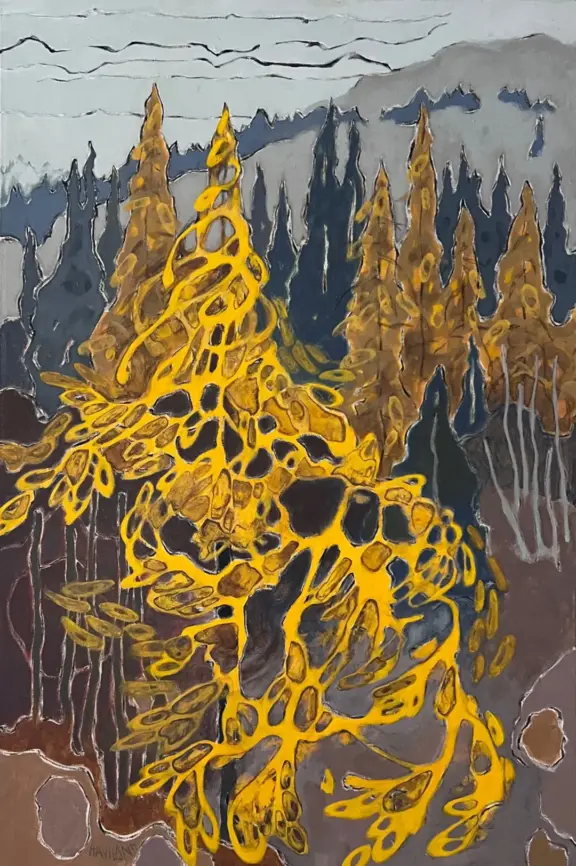 MuskokaTour