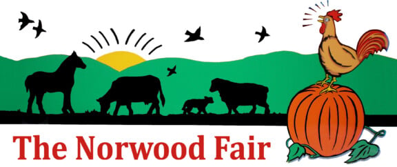 Norwood-Fair-lspe-logo
