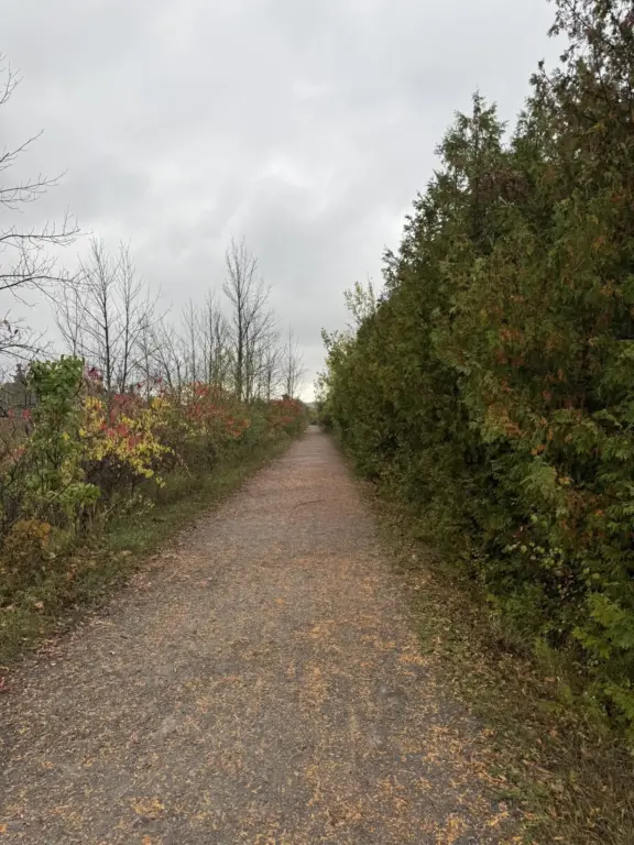 OmemeeRailTrailviaOrangeCornersRoad