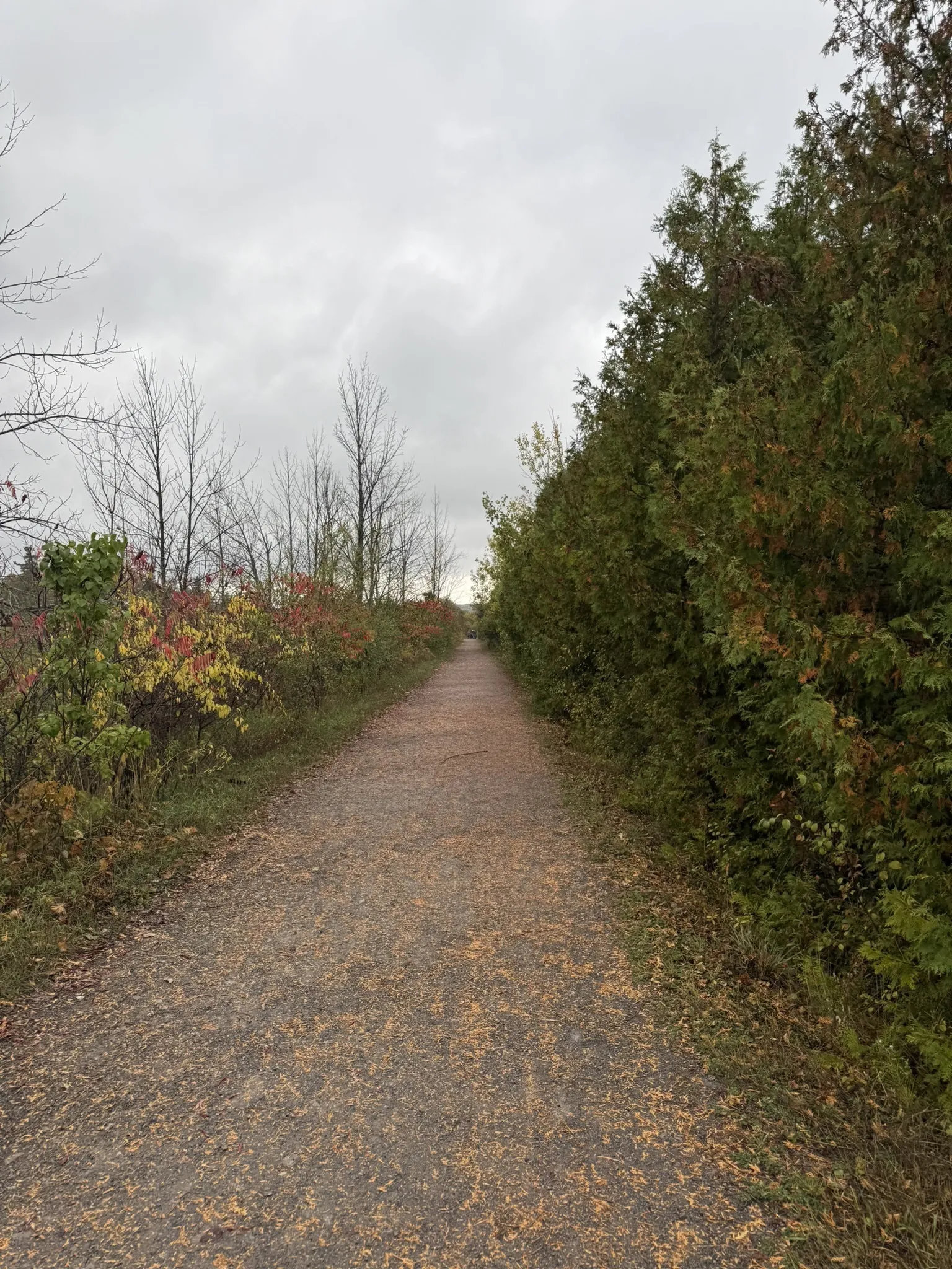 Omemee Rail Trail via Orange Corners Road