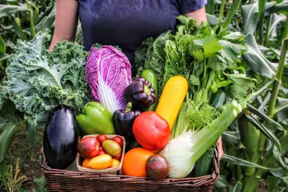 Organic_farmers_market_Ottawa_2_600x600