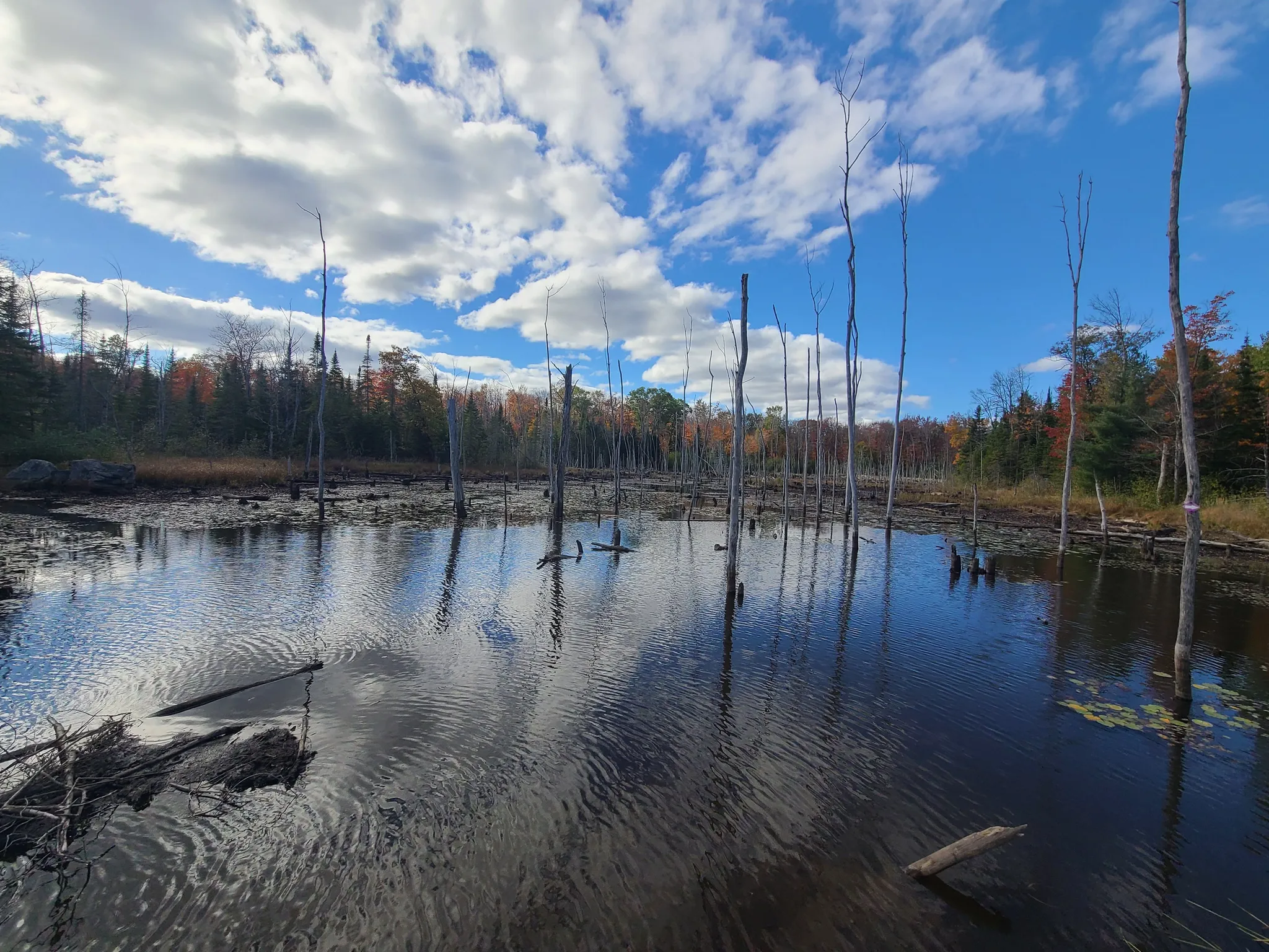 Orville Lake Nature Trail