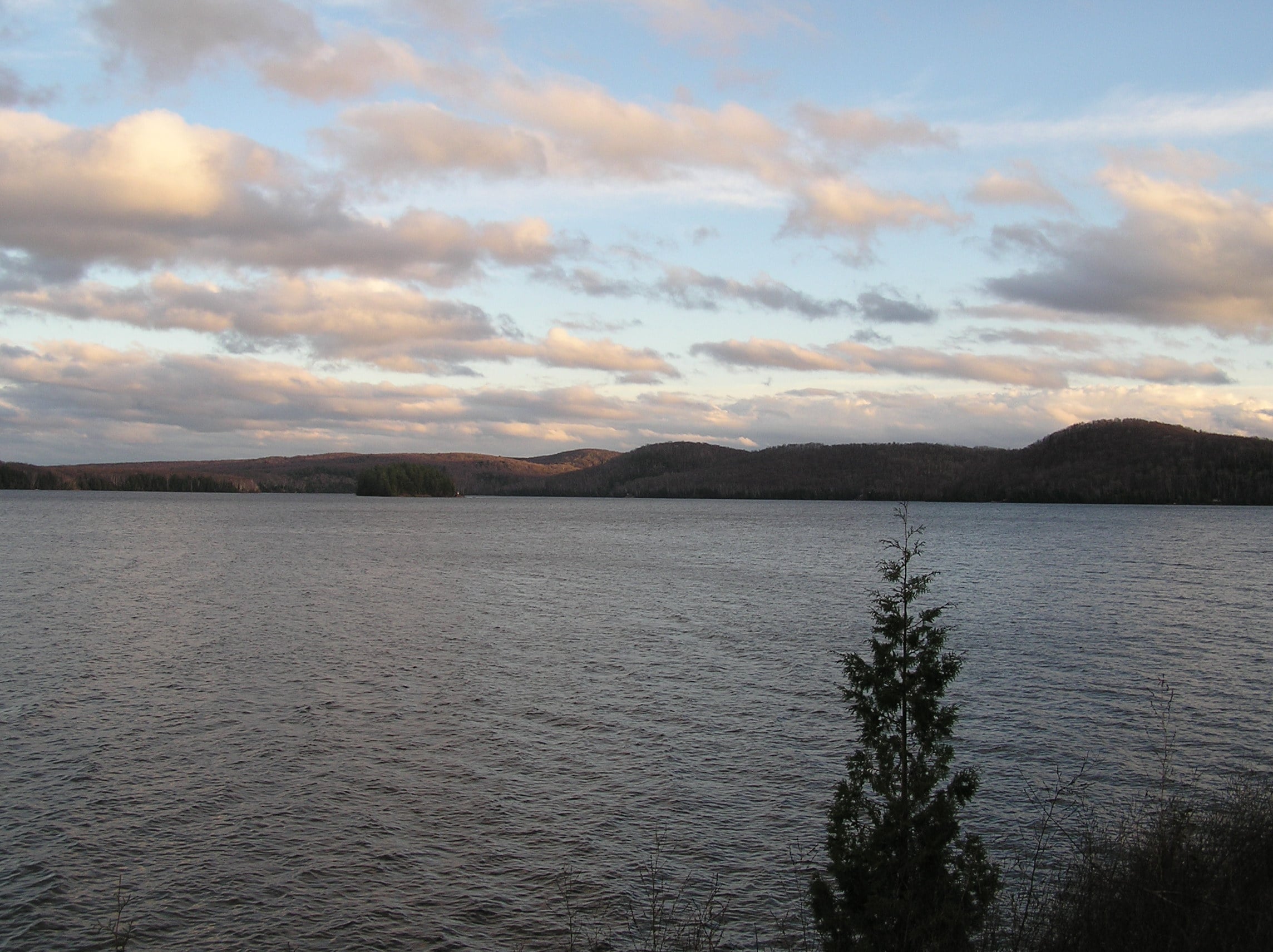 Elephant Lake Marina