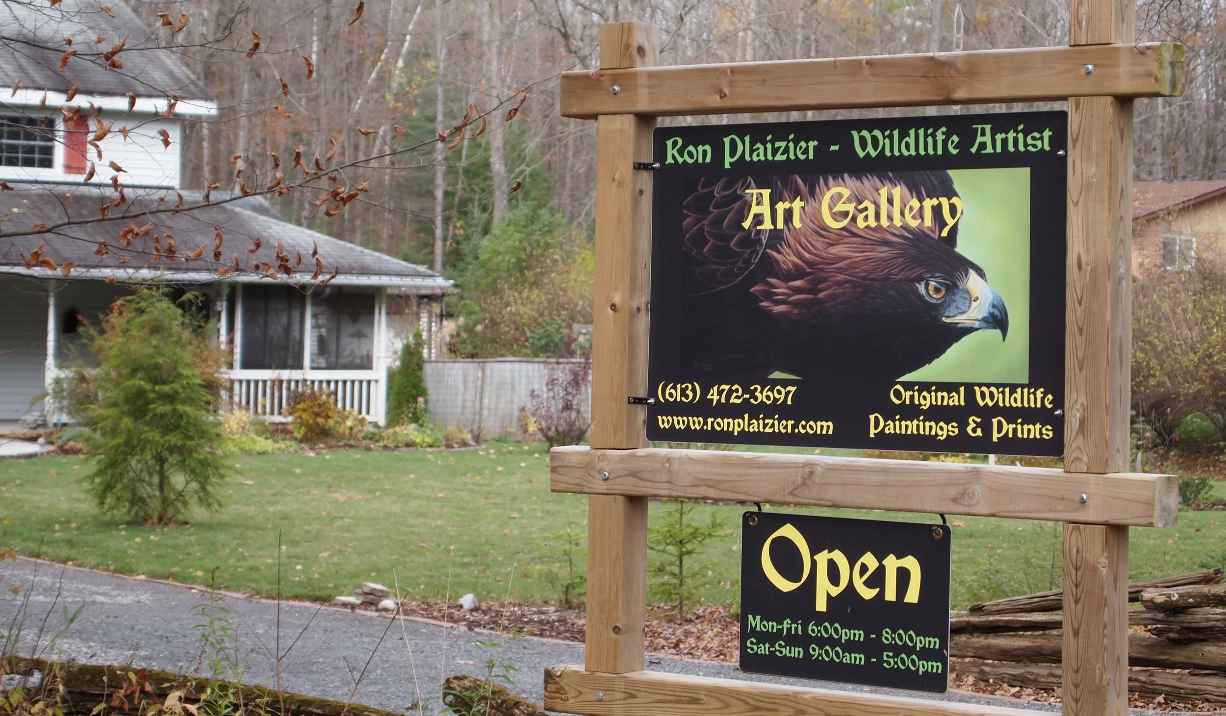 Ron Plaizier – Wildlife Artist