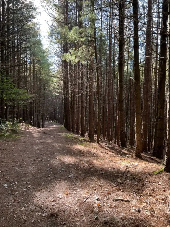 PartridgeTrail-WolfTrail