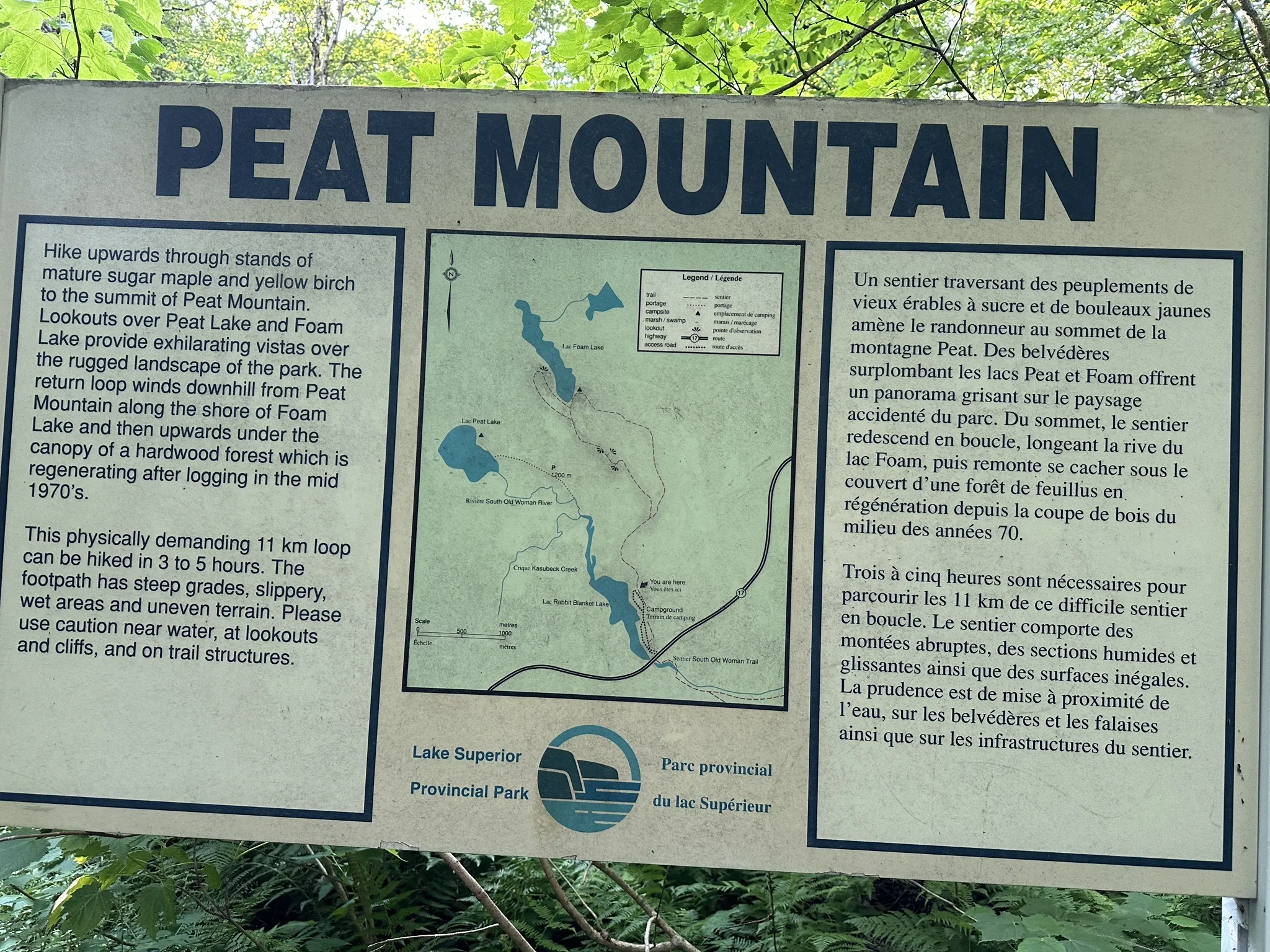 Peat Mountain Trail