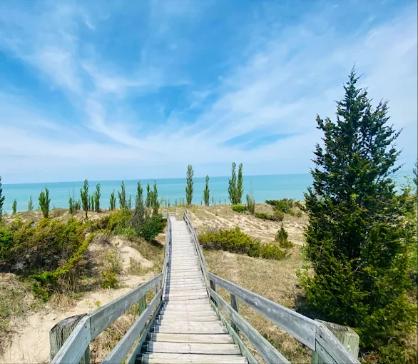 Pinery Provincial Park Area Beaches & Dunes