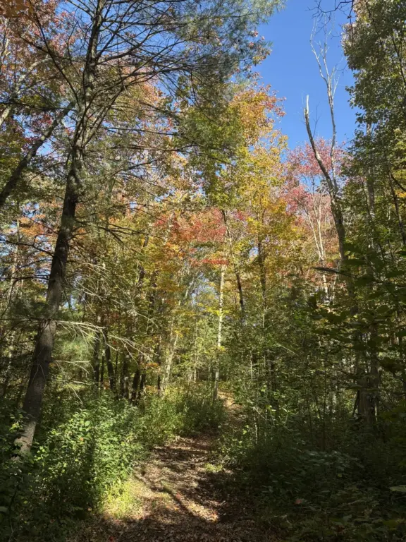 PioneerTrail