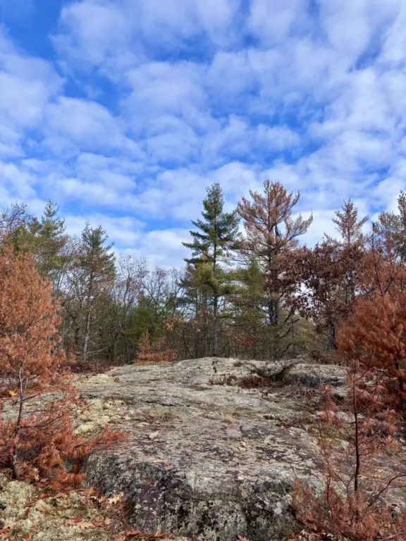 PorcupineTrail