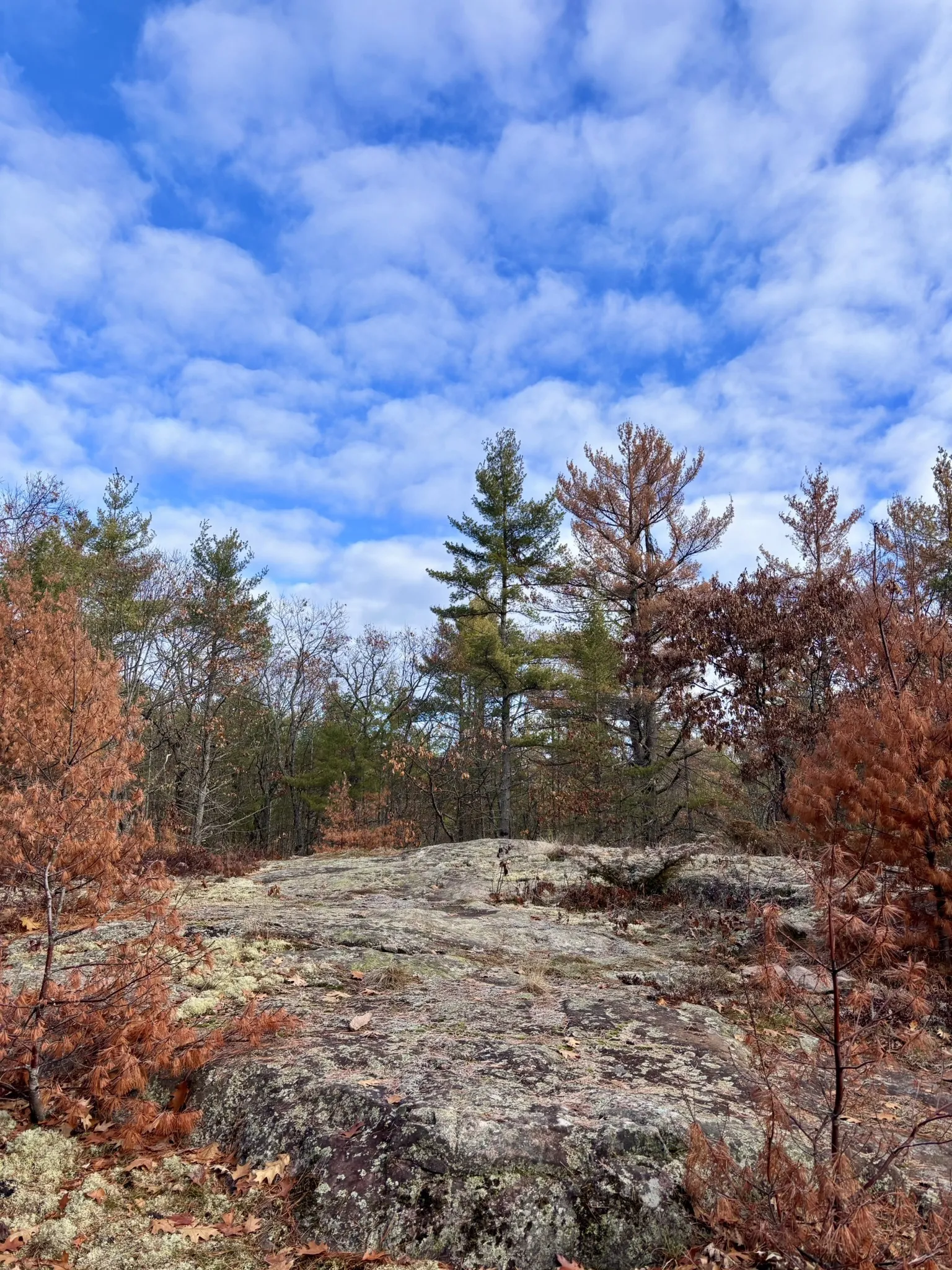 Porcupine Trail
