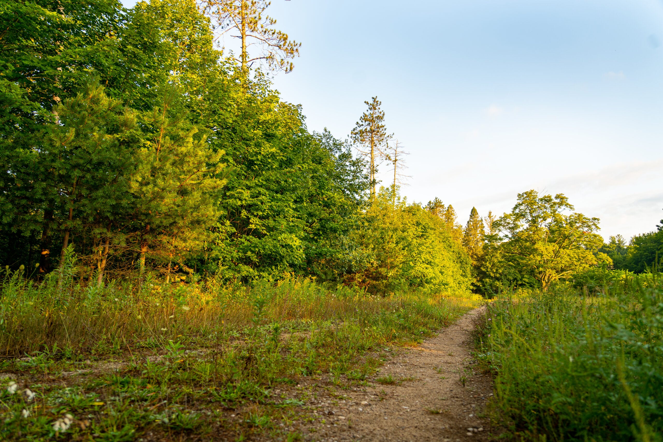 Simcoe County Forest Trail System